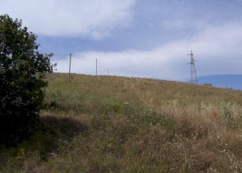 Foto 10 - Rustic Contrada Pignotto, Controguerra - photo 10