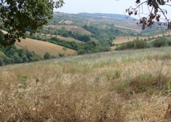 Foto 14 - Rustic Contrada Pignotto, Controguerra - photo 14