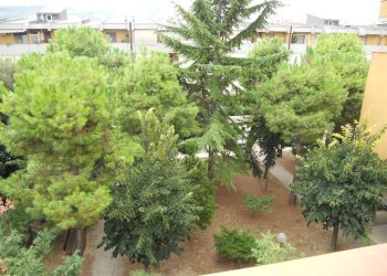 Foto 16 - Appartamento Via Liberazione, Monteprandone - foto 16