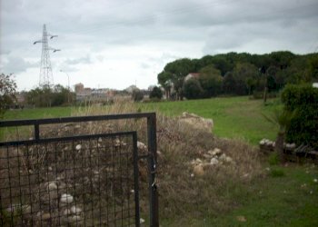 Foto 4 - Terreno agricolo Contrada Monte Acquilino, San Benedetto del Tronto - foto 4