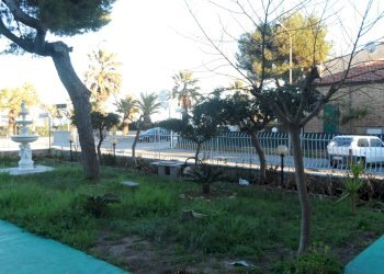 Foto 2 - Appartamento Lungomare Sirena
 
20, Tortoreto - foto 2