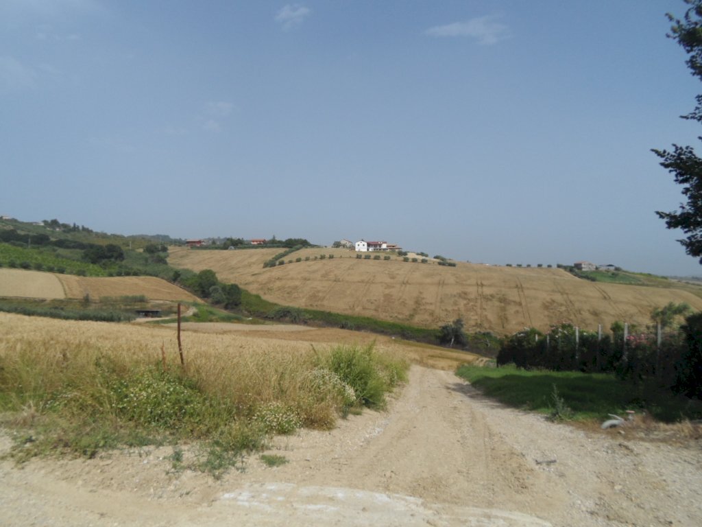 Foto 1 - Terreno agricolo Via degli Orti, Colonnella - foto 1