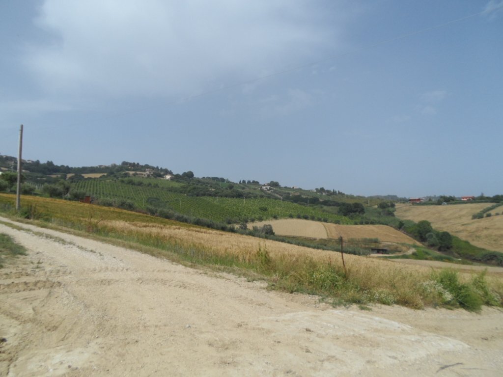 Foto 2 - Terreno agricolo Via degli Orti, Colonnella - foto 2