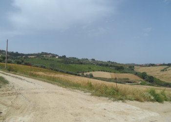 Foto 2 - Terreno agricolo Via degli Orti, Colonnella - foto 2