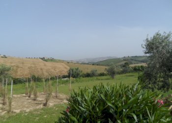 Foto 3 - Terreno agricolo Via degli Orti, Colonnella - foto 3