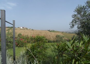 Foto 5 - Terreno agricolo Via degli Orti, Colonnella - foto 5