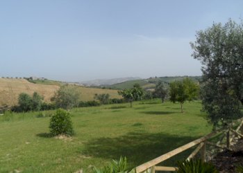 Foto 6 - Terreno agricolo Via degli Orti, Colonnella - foto 6