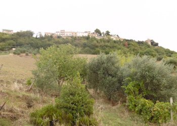 Foto 12 - Independent house Via Pittura
 
4, Ripatransone - photo 12