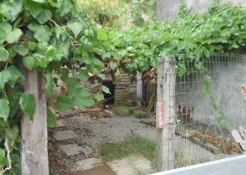 Foto 20 - Independent house Via Pittura
 
4, Ripatransone - photo 20