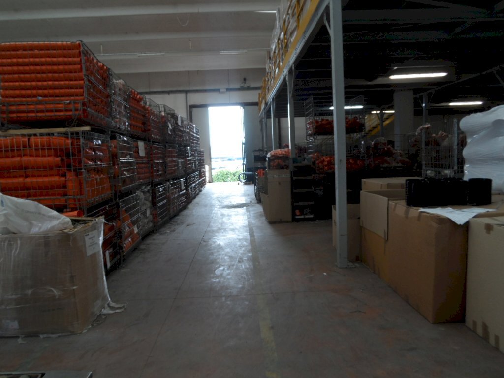 Foto 3 - Capannone Viale America
8, Magliano di Tenna - foto 3