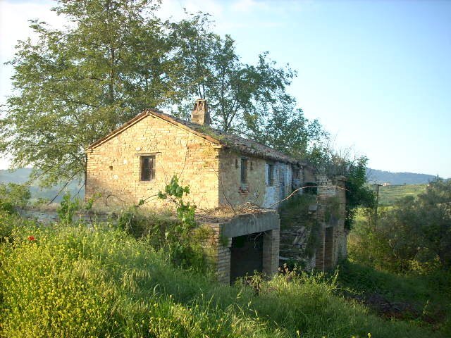 Foto 2 - Rustico Contrada Messieri, Ripatransone - foto 2