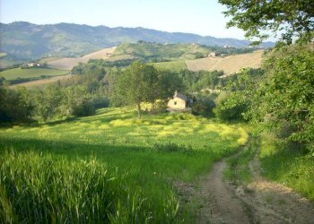 Foto 1 - Rustico Contrada Messieri, Ripatransone - foto 1