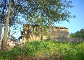 Foto 4 - Rustico Contrada Messieri, Ripatransone - foto 4