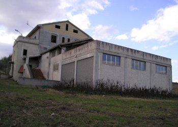 Foto 17 - Rustico Contrada Madonna delle piane, Acquaviva Picena - foto 11