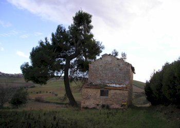 Foto 20 - Rustico Contrada Madonna delle piane, Acquaviva Picena - foto 14