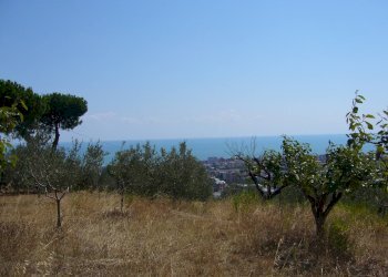 Foto 2 - Terreno agricolo Contrada Colle Monterenzo, San Benedetto del Tronto - foto 2