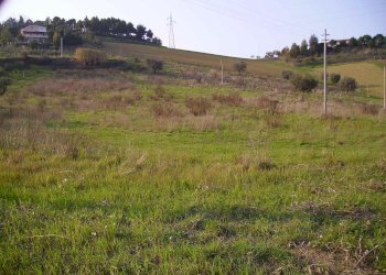 Foto 1 - Agricultural land Contrada Montecretaccio, Monteprandone - photo 1