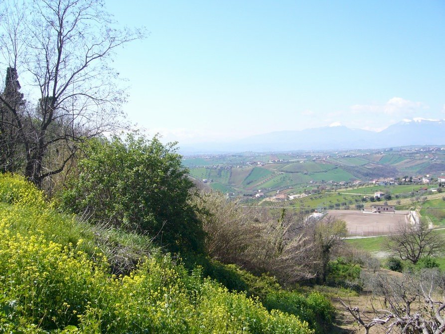 Foto 2 - Terreno edificabile Via Statuto, Colonnella - foto 2