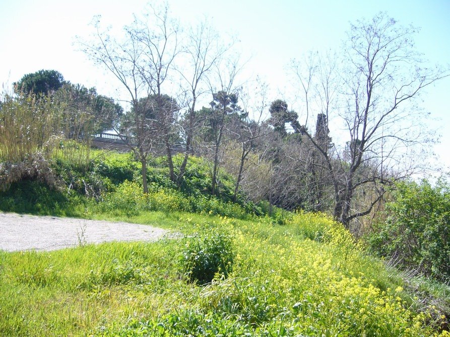 Foto 3 - Terreno edificabile Via Statuto, Colonnella - foto 3