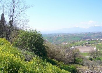 Foto 2 - Terreno edificabile Via Statuto, Colonnella - foto 2