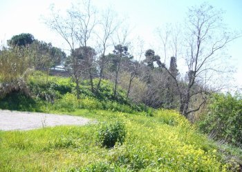 Foto 3 - Terreno edificabile Via Statuto, Colonnella - foto 3