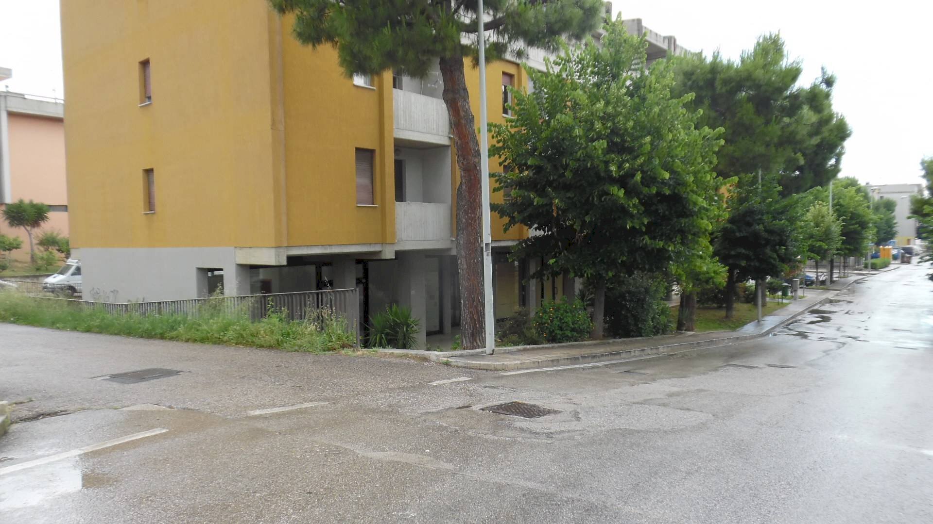 Foto 2 - Ufficio Via I Maggio, Monteprandone - foto 2