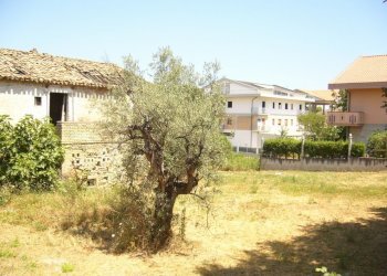 Foto 8 - Terreno edificabile strada Bonifica del Tronto, Colonnella - foto 8