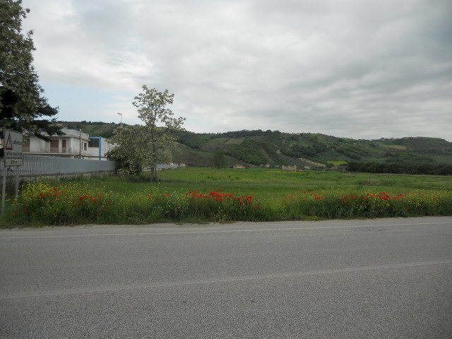 Foto 1 - Building land Strada Bonifica del Tronto, Controguerra - photo 1