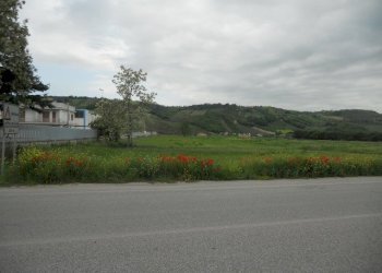 Foto 1 - Terreno edificabile Strada Bonifica del Tronto, Controguerra - foto 1