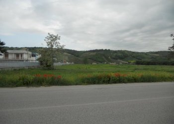 Foto 2 - Terreno edificabile Strada Bonifica del Tronto, Controguerra - foto 2