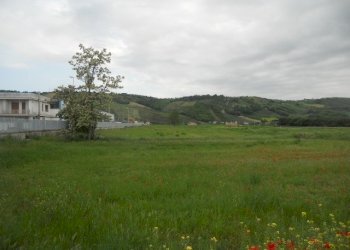 Foto 5 - Terreno edificabile Strada Bonifica del Tronto, Controguerra - foto 5