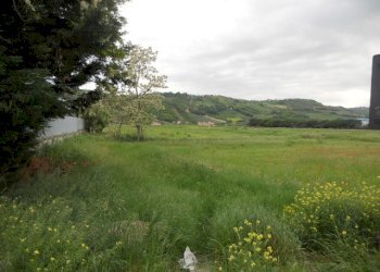 Foto 7 - Terreno edificabile Strada Bonifica del Tronto, Controguerra - foto 7