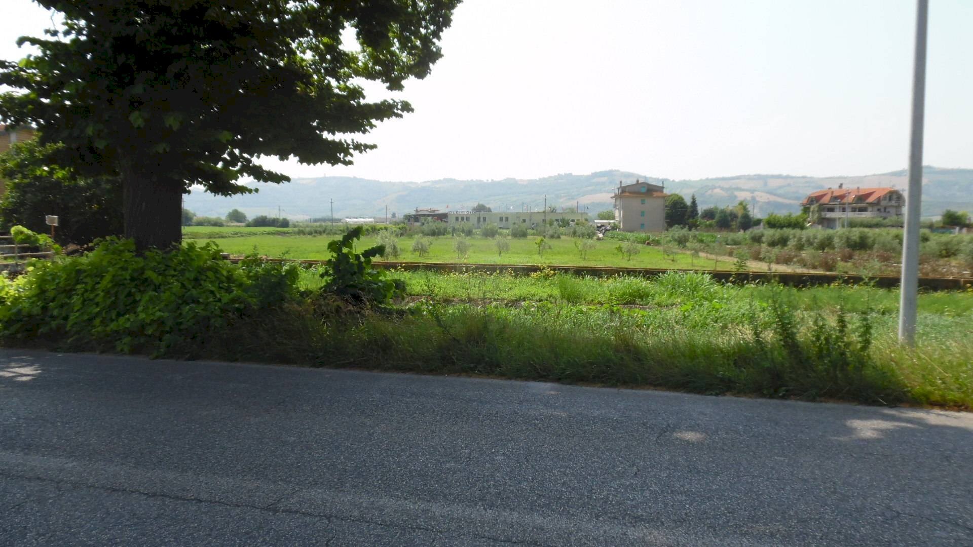 Foto 1 - Agricultural land Via Salaria, Spinetoli - photo 1