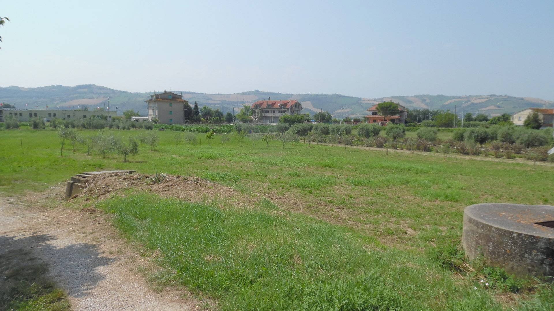 Foto 2 - Agricultural land Via Salaria, Spinetoli - photo 2