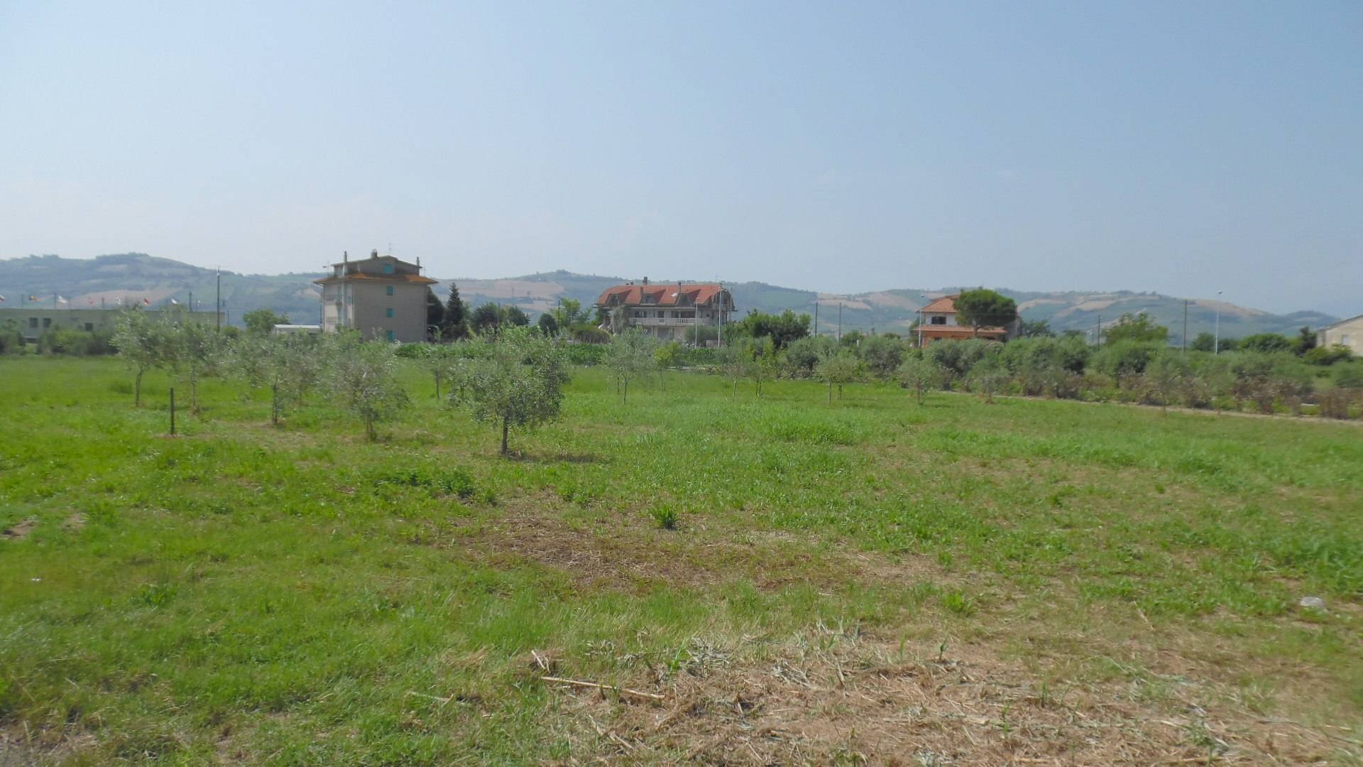 Foto 3 - Agricultural land Via Salaria, Spinetoli - photo 3