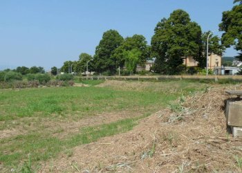 Foto 4 - Terreno agricolo Via Salaria, Spinetoli - foto 4