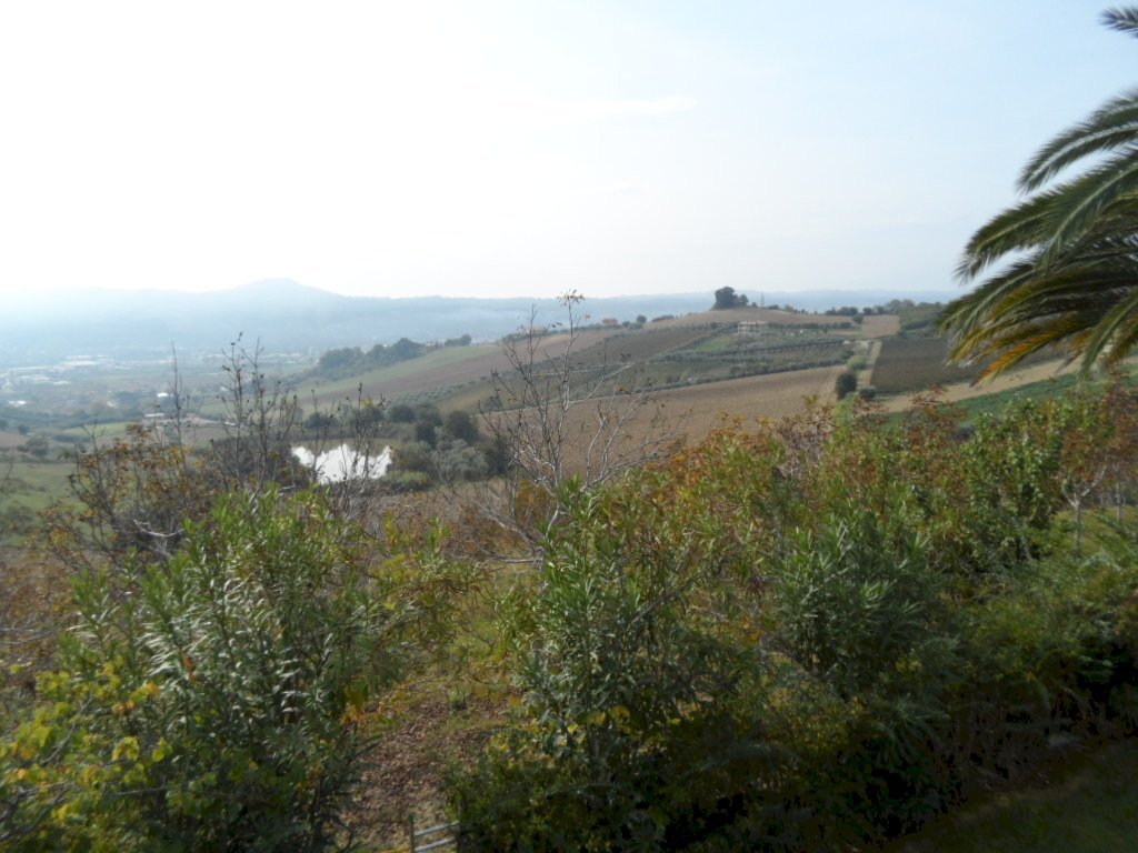 Foto 1 - Agricultural land Via Fosso dei galli, Monteprandone - photo 1