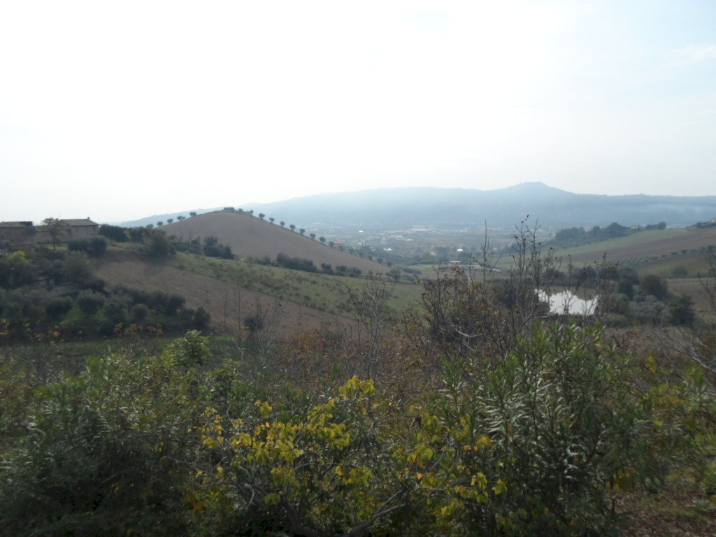 Foto 2 - Agricultural land Via Fosso dei galli, Monteprandone - photo 2