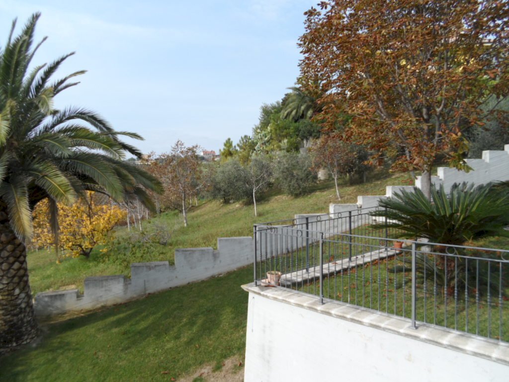 Foto 3 - Agricultural land Via Fosso dei galli, Monteprandone - photo 3