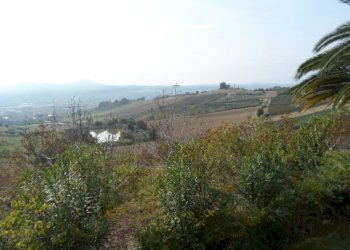 Foto 1 - Agricultural land Via Fosso dei galli, Monteprandone - photo 1