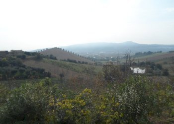 Foto 2 - Agricultural land Via Fosso dei galli, Monteprandone - photo 2