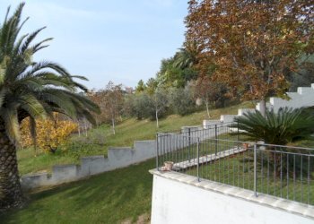 Foto 3 - Agricultural land Via Fosso dei galli, Monteprandone - photo 3