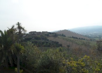 Foto 4 - Agricultural land Via Fosso dei galli, Monteprandone - photo 4