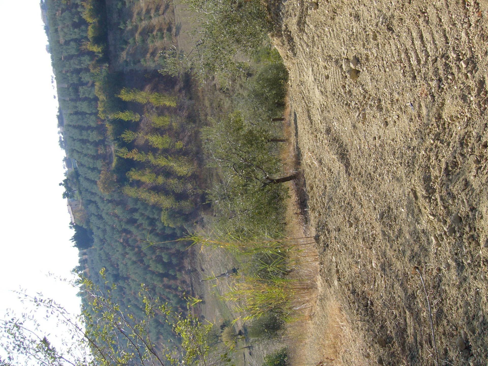 Foto 2 - Terreno edificabile Via Pizzotondo, Tortoreto - foto 2