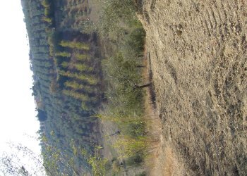 Foto 2 - Terreno edificabile Via Pizzotondo, Tortoreto - foto 2