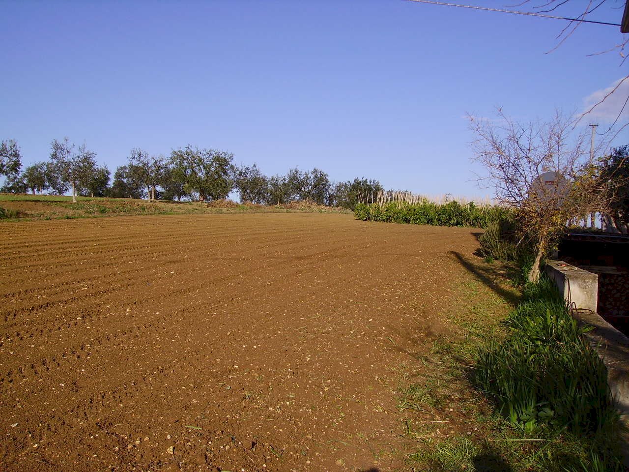 Foto 2 - Terreno agricolo Via Monti, Grottammare - foto 2