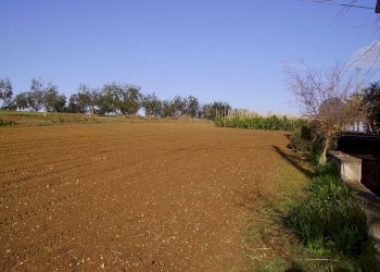 Foto 2 - Terreno agricolo Via Monti, Grottammare - foto 2