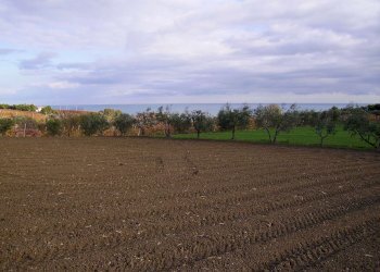 Foto 3 - Terreno agricolo Via Monti, Grottammare - foto 3