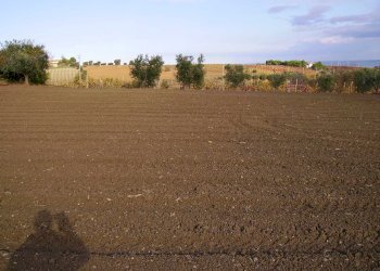 Foto 5 - Terreno agricolo Via Monti, Grottammare - foto 5
