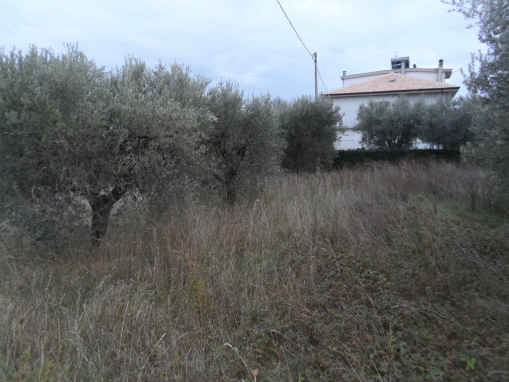 Foto 2 - Building land Zona Piattoni, Castel di Lama - photo 2